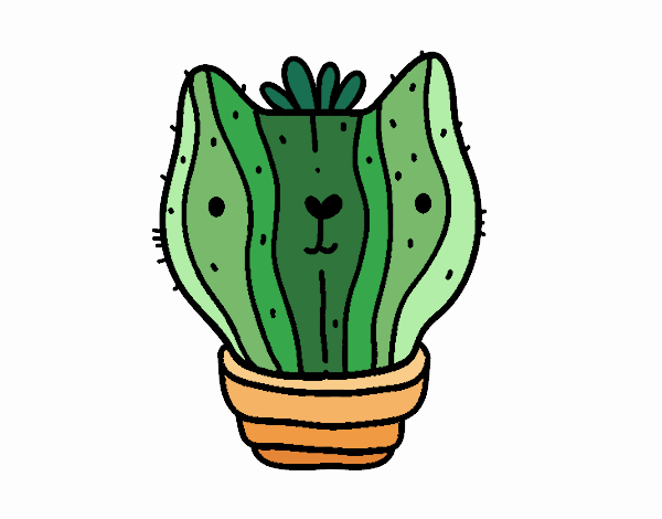 Cactus gato