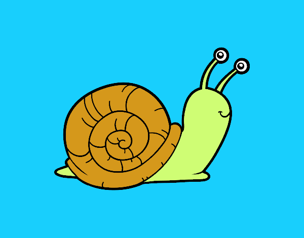 El caracol