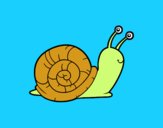 El caracol