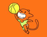 Gato jugando a baloncesto