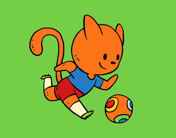 Gato jugando a fútbol