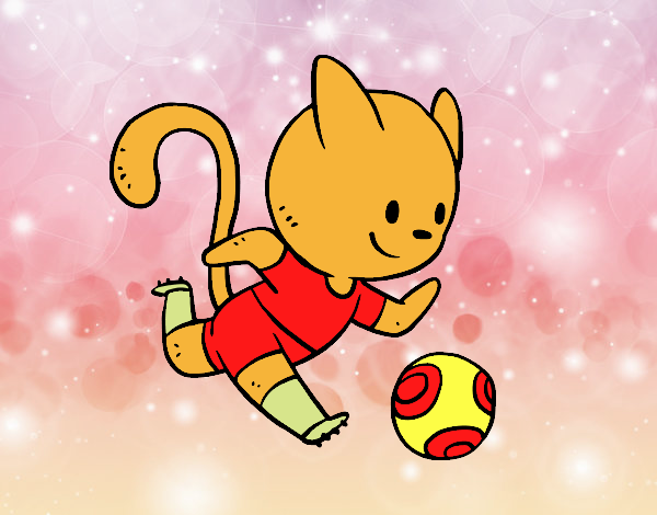 Gato jugando a fútbol