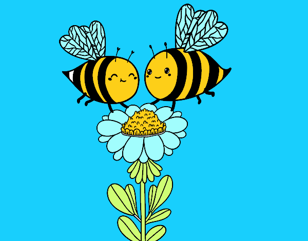 Pareja de abejas