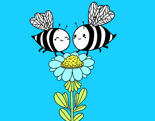 Pareja de abejas