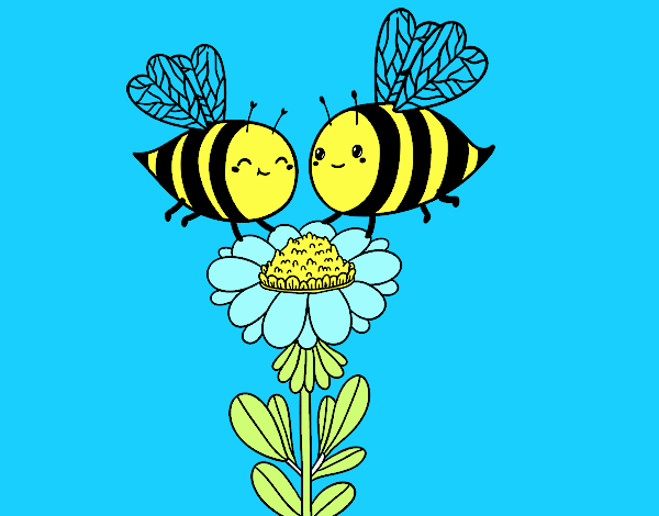 Pareja de abejas