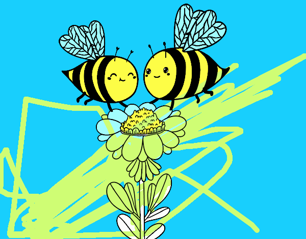 Pareja de abejas