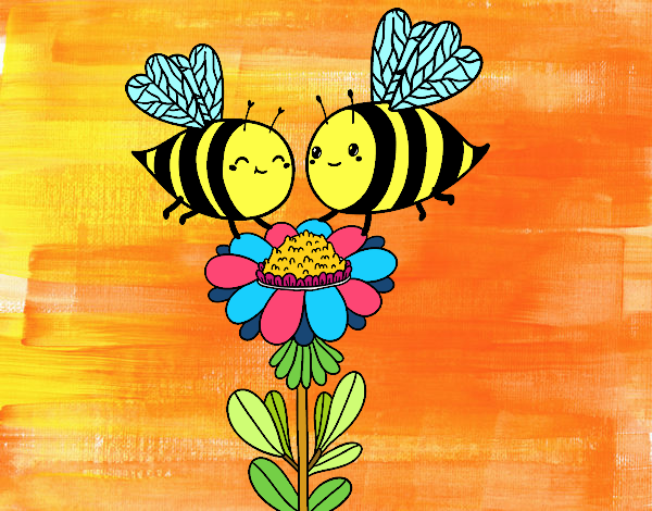 Pareja de abejas