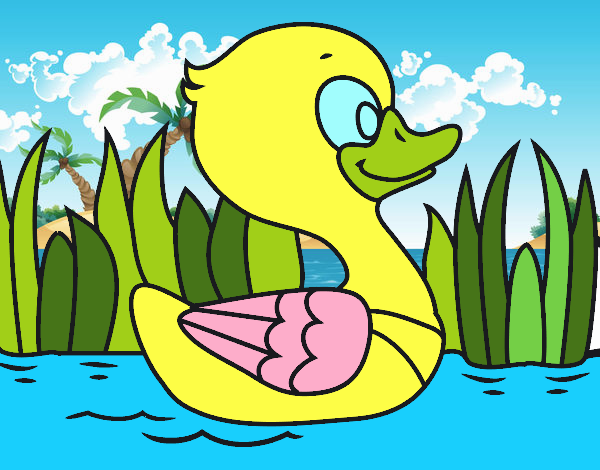 Patito de río