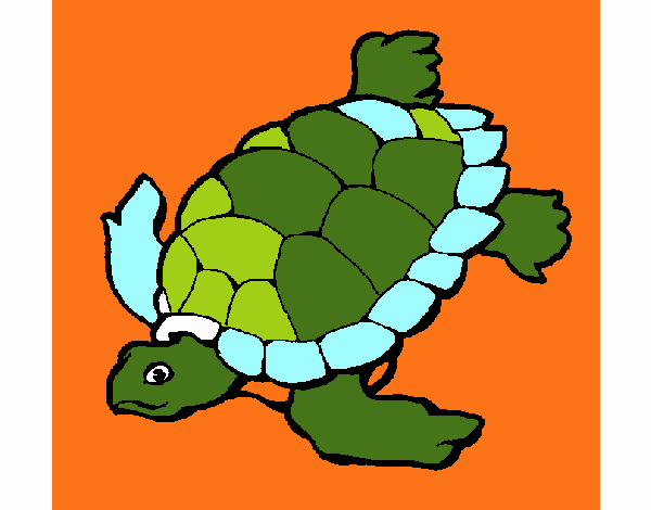 Tortuga