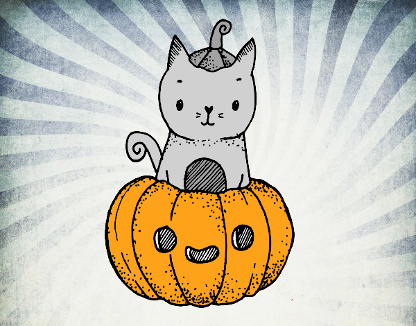 Un gatito de Halloween