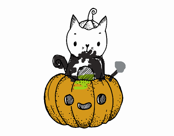 Un gatito de Halloween