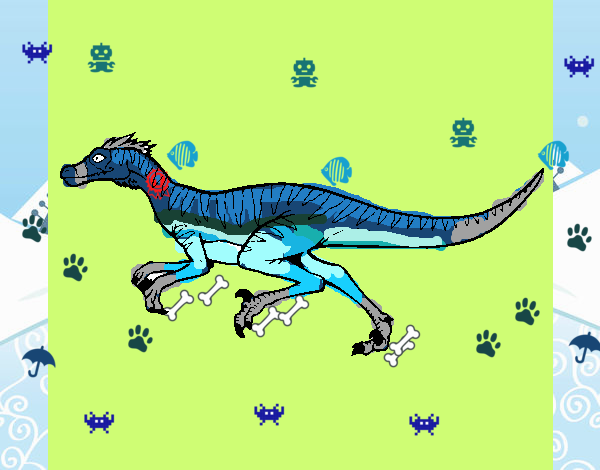 Velociraptor