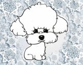 Cachorro de poodle