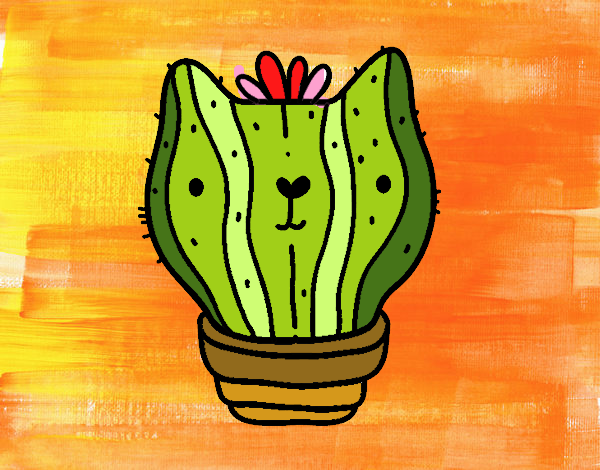 Cactus gato