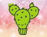 Cactus nopal