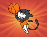 Gato jugando a baloncesto