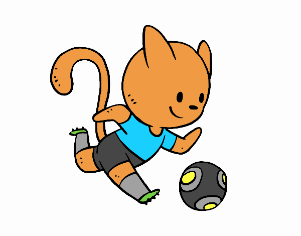 Gato jugando a fútbol