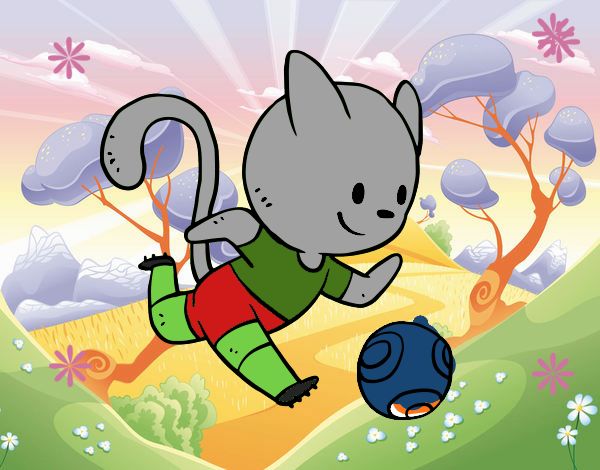 Gato jugando a fútbol