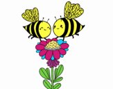 Pareja de abejas