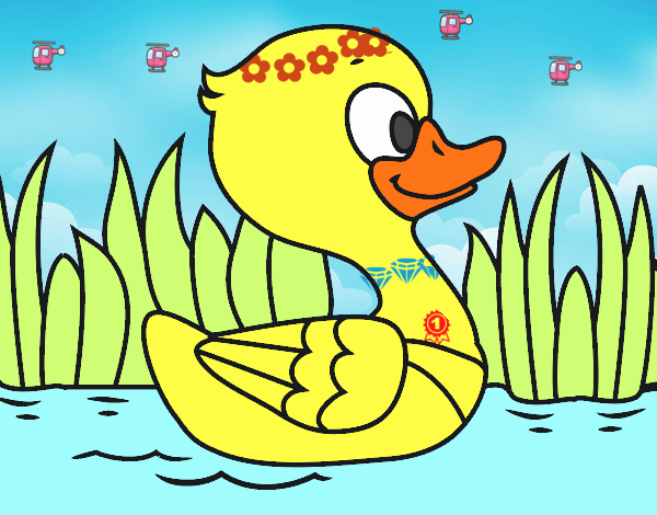 Patito de río