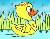 Patito de río