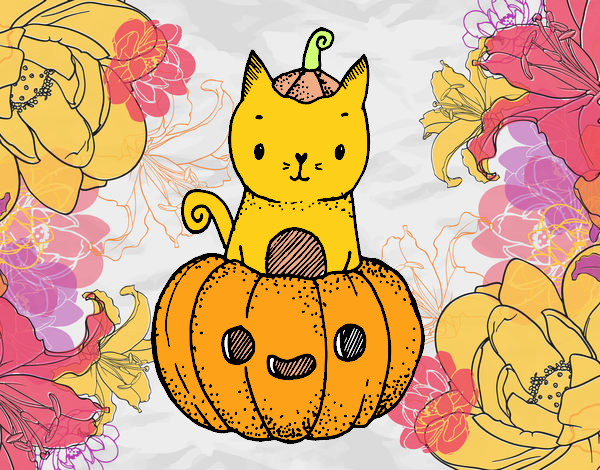 Un gatito de Halloween