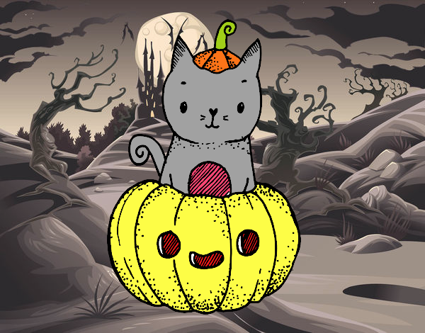 Un gatito de Halloween