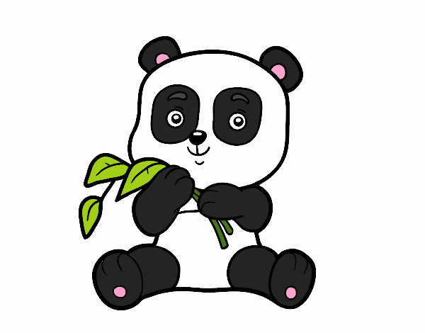 Pandita 