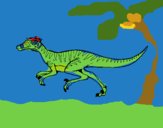 Velociraptor