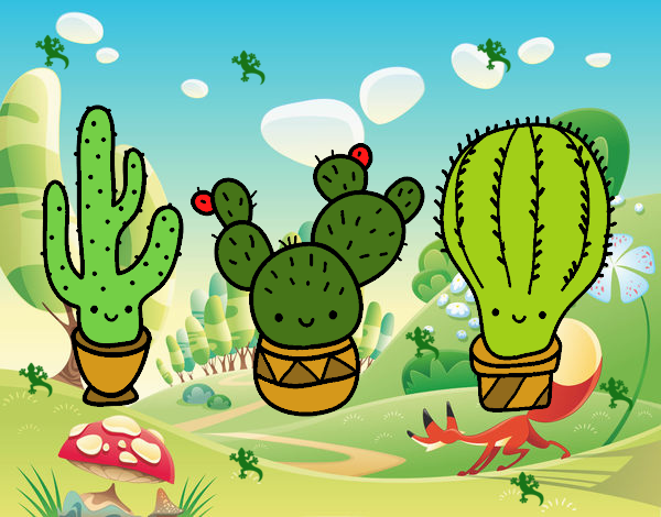 3 mini cactus