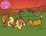 Applejack y Winona