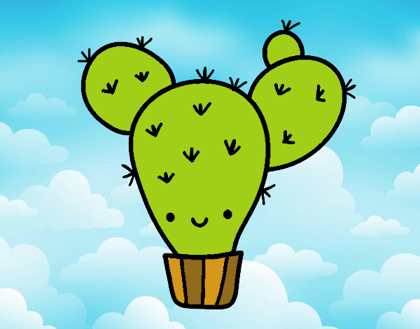 Cactus nopal