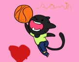 Gato jugando a baloncesto