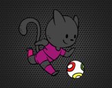 Gato jugando a fútbol