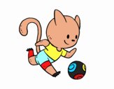 Gato jugando a fútbol