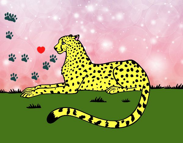 mama de jaguar