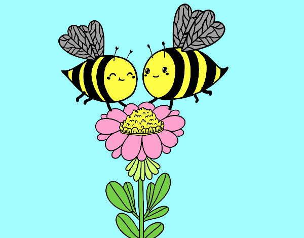 Pareja de abejas