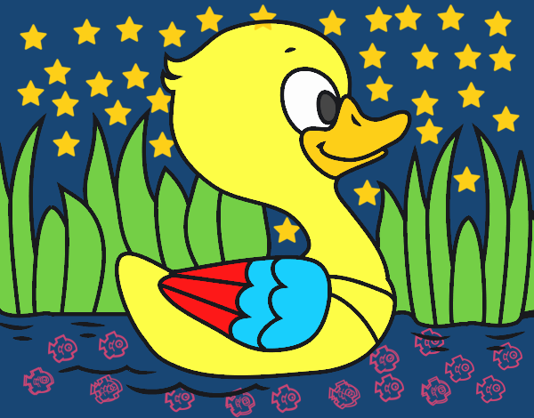 Patito de río