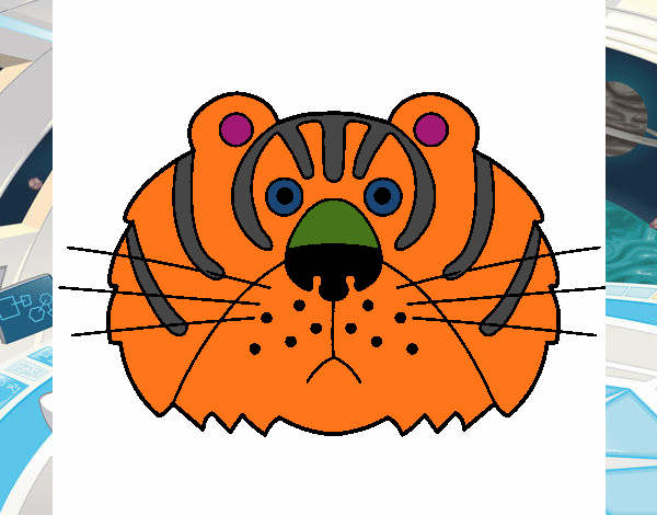 Tigre III