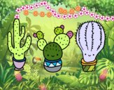 3 mini cactus