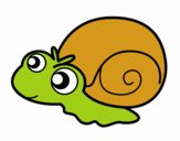 Caracol bebé