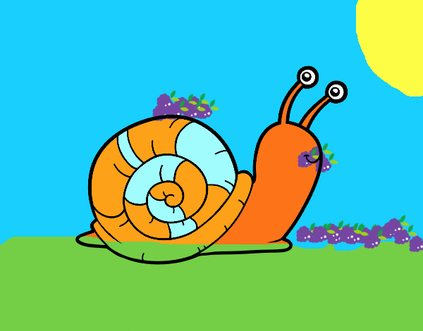 caracol feliz