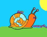 El caracol