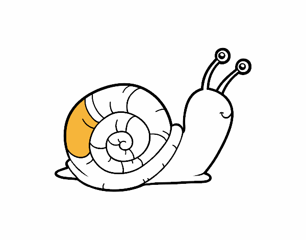 El caracol