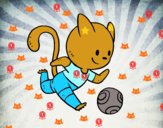 Gato jugando a fútbol