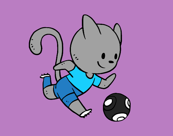 Gato footbolero