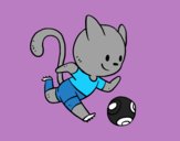 Gato jugando a fútbol