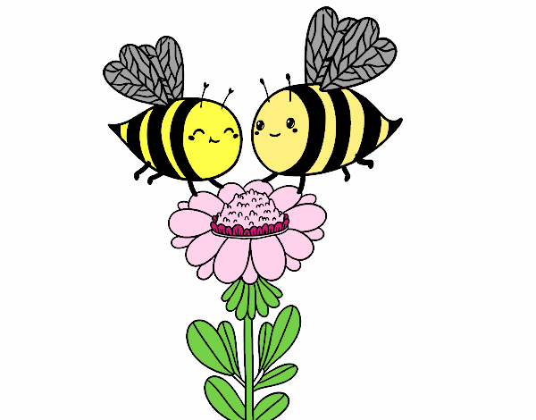 Pareja de abejas