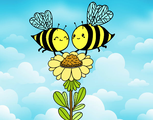 Pareja de abejas