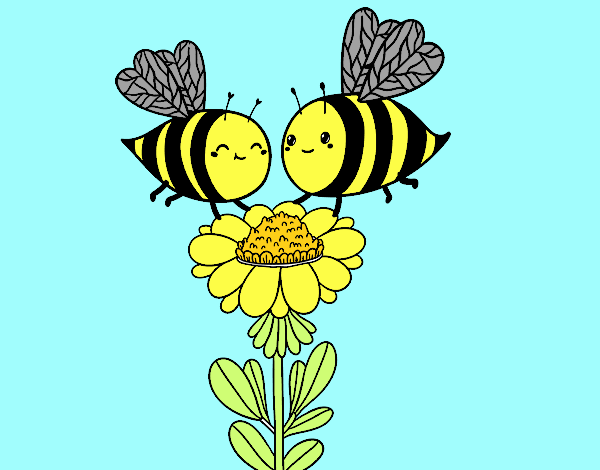 Pareja de abejas